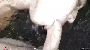 Nympho Cock Devour goddess Luckiest Hubby Next level Pro Suck hydrabadi Wife Part 2